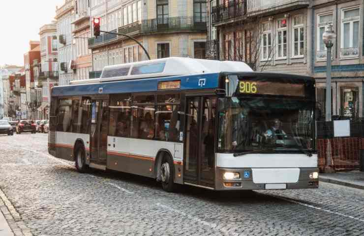 Autobus